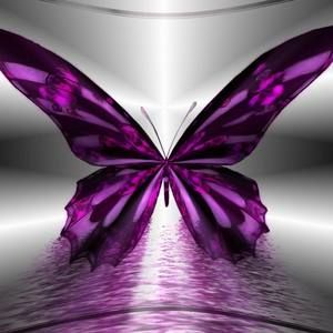 Meet your Posher, Kay